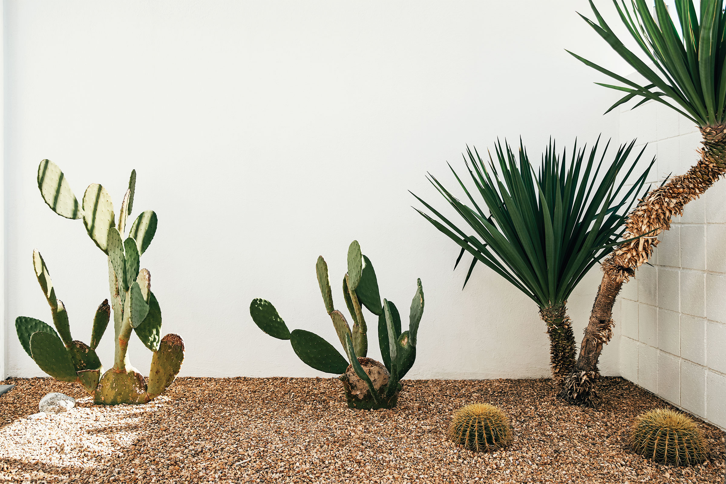 bikinivillage_ss20_01