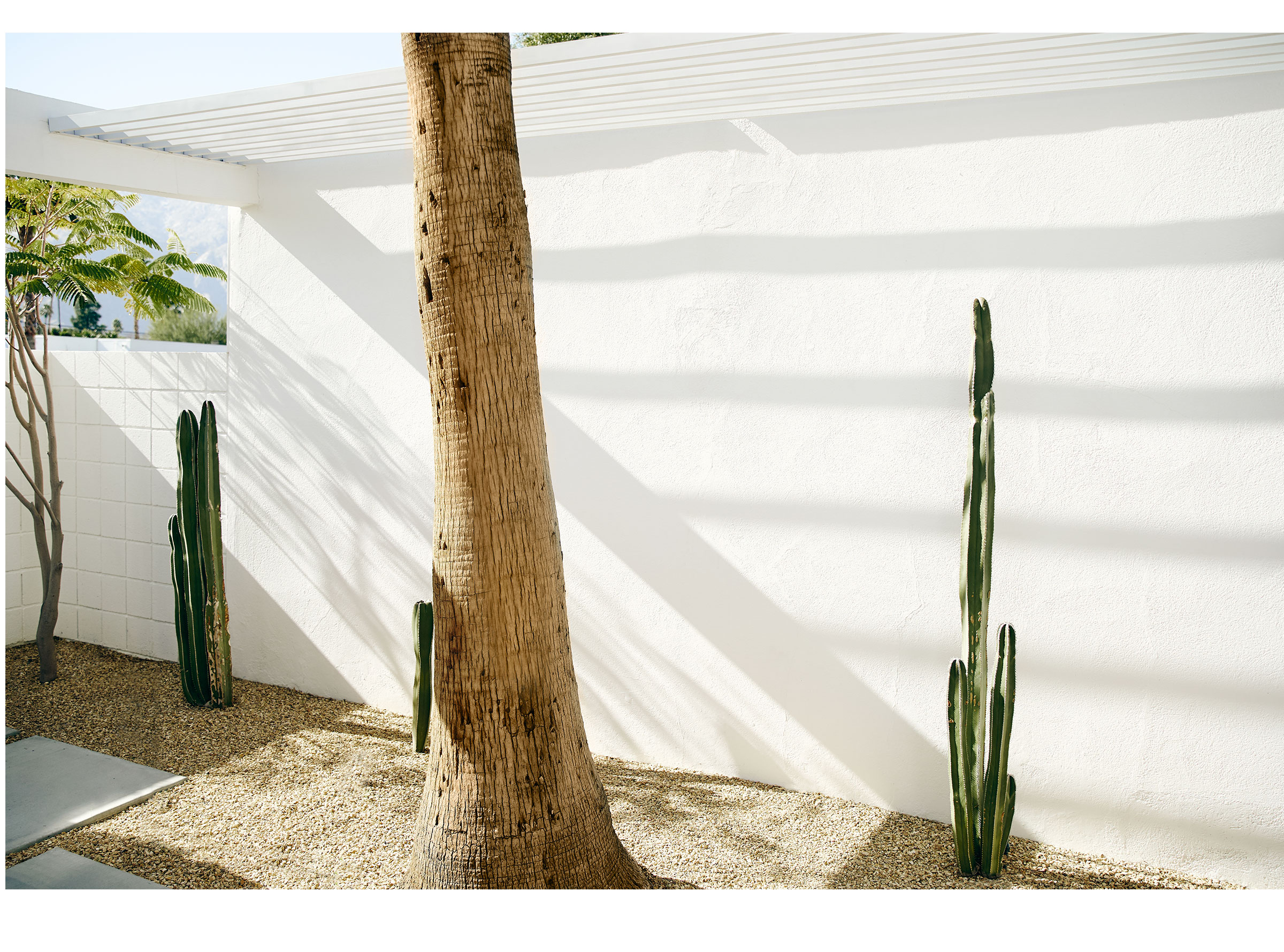 bikinivillage_ss20_15